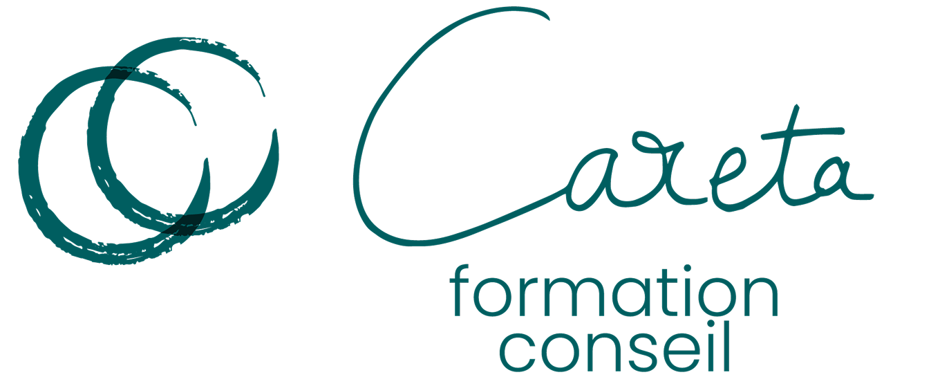CARETA-BIS-LOGO-copie@2x (1) 1